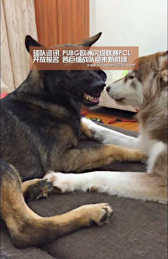 球队资讯_PUBG欧洲次级联赛PCL开放报名 各巨细战队迎来新机缘(图1) 世界杯赛程