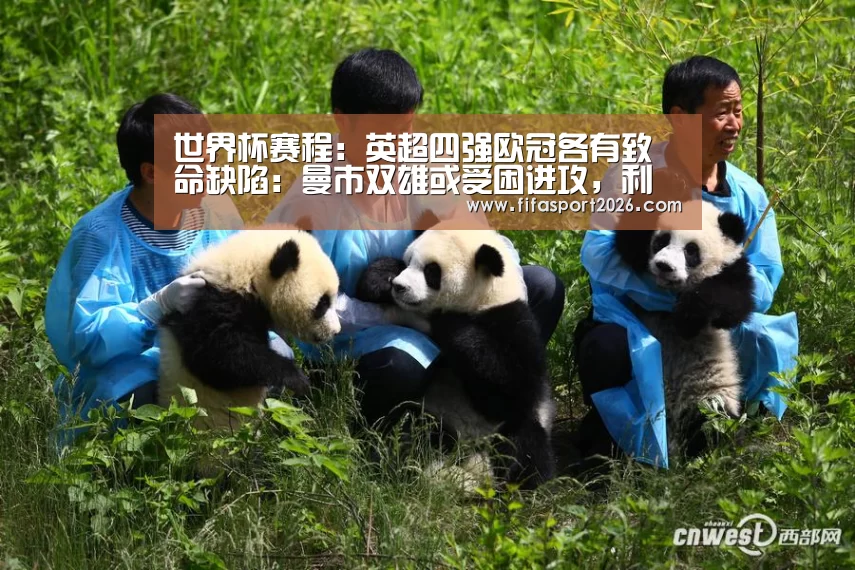 世界杯赛程:英超四强欧冠各有致命缺陷:曼市双雄或受困进攻,利物浦体力堪忧(图1) 世界杯赛程