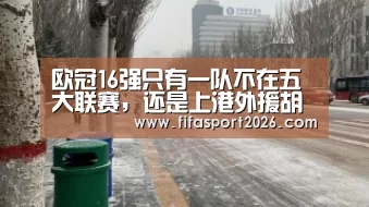 欧冠16强只有一队不在五大联赛,还是上港外援胡尔克最可能下家【球队资讯】(图1) 世界杯